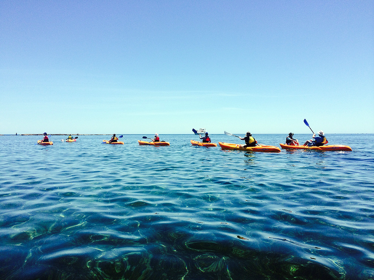 Group of kayakers paddling across calm water at Port Noarlunga
