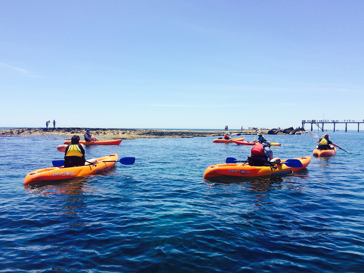 Several orange kayaks paddling near Port Noarlunga Reef