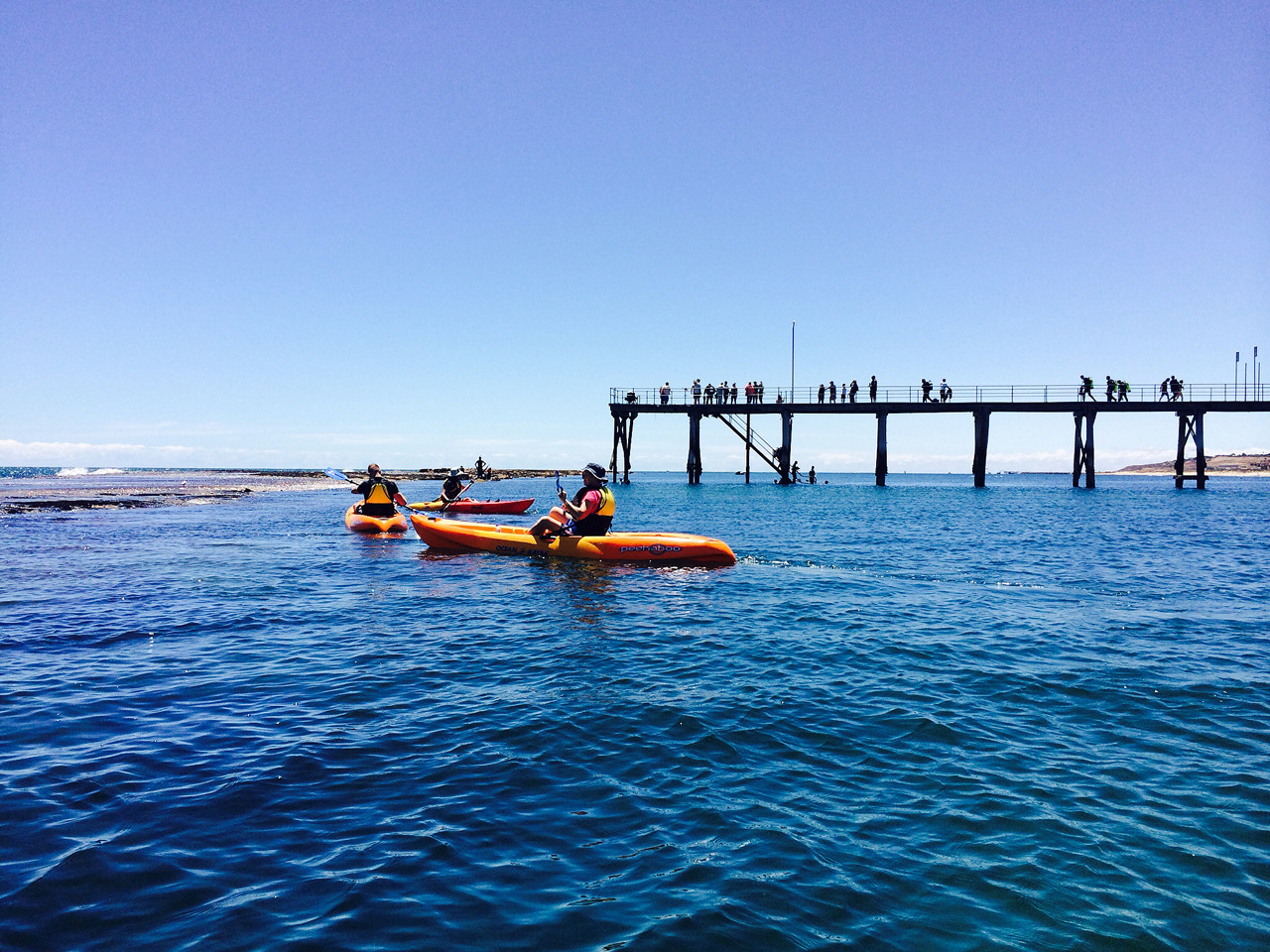 Kayakers paddling near Port Noarlunga jetty