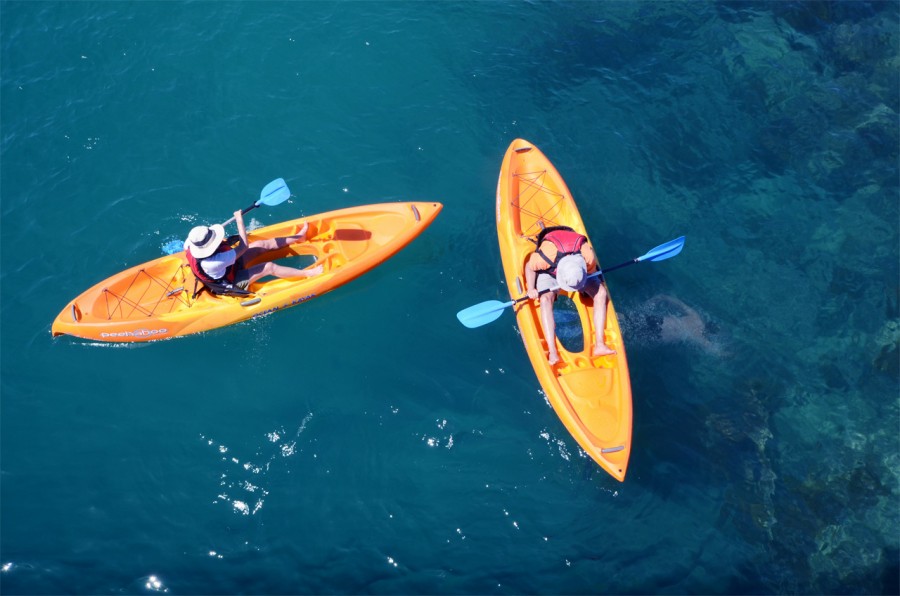 EasyKayaksExploreTheReef5 Easy KayaksEasy Kayaks